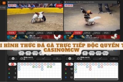 Casinomcw – Thiên Đường Cá Cược đá gà Thomo Uy Tín Châu Á
